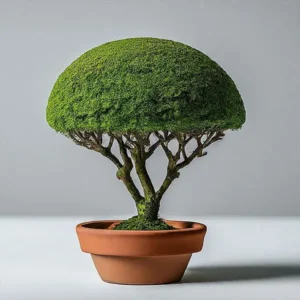 plant-pal-300